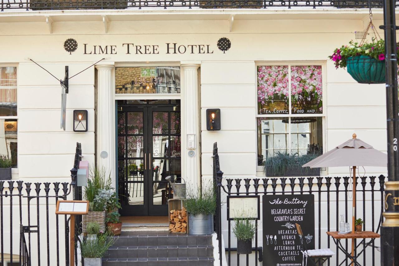 Lime Tree